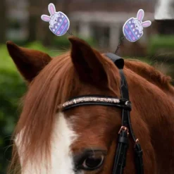 QHP Accessoires têtière Pâques> Frontal|Bridon