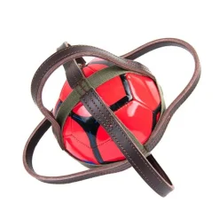 CANTER Ballon de horse-ball> Horse-Ball