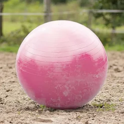 QHP Ballon de jeu pour chevaux> Jouets Pour Chevaux