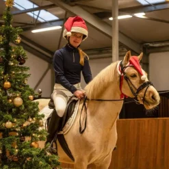 QHP Bonnet de Noël Cheval><noscript><img data-lazyloaded=