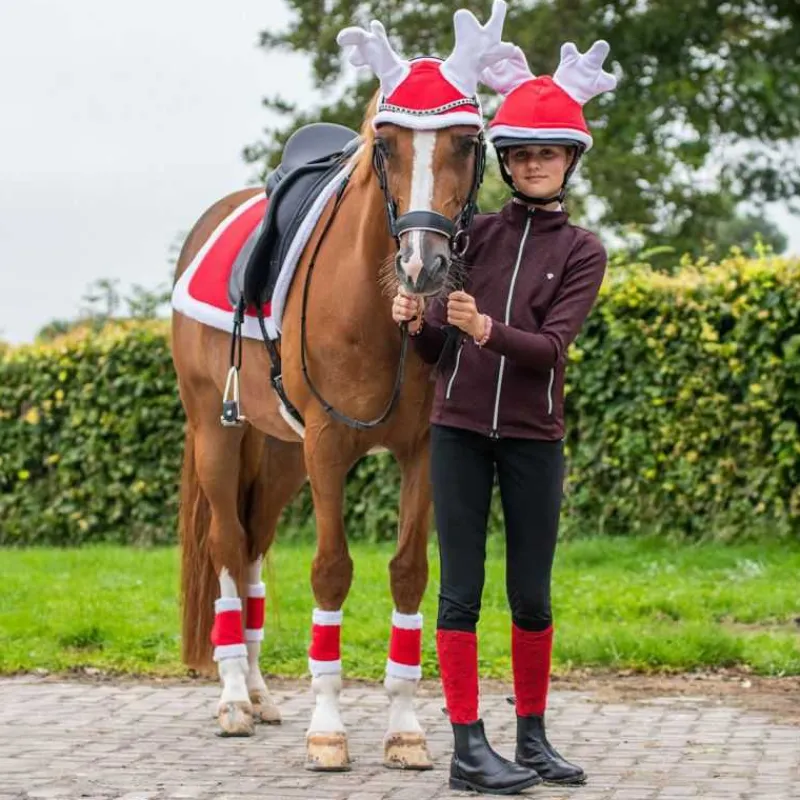 QHP Bonnet de Renne Noël pour chevaux> Bonnet|Jouet Et Peluche
