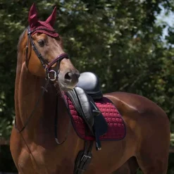 QHP Bonnet Florence><noscript><img data-lazyloaded=