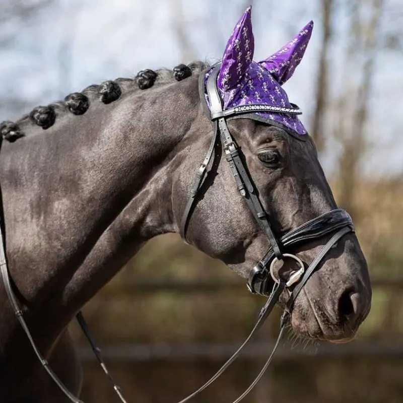QHP Bonnet Halloween> Bonnet