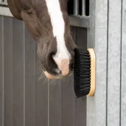QHP Bouchon aimanté> Brosses