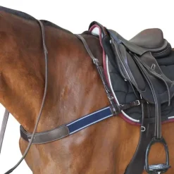 CANTER Bricole élastique> Martingale|Enrênements Spéciaux