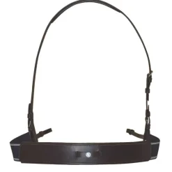 CANTER Bricole élastique><noscript><img data-lazyloaded=
