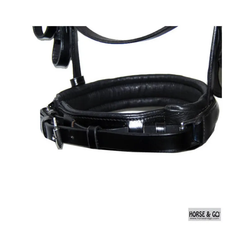 HORSE & GO Bride en cuir Horse and Go> Bride