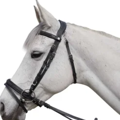 FLAGS&CUP Bridon Aachen><noscript><img data-lazyloaded=