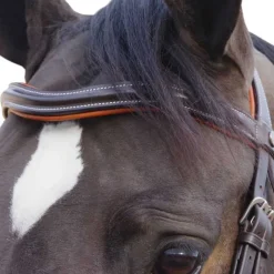 CANTER Bridon Alme> Bridon