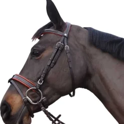 CANTER Bridon Alme> Bridon