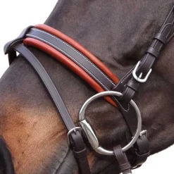 CANTER Bridon Alme><noscript><img data-lazyloaded=