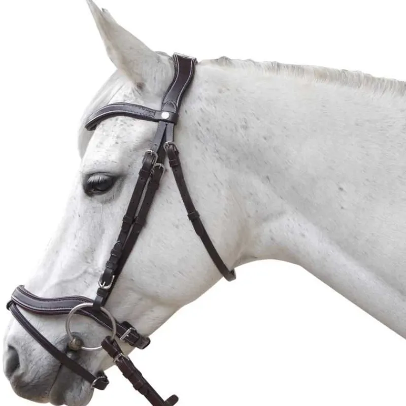 CANTER Bridon Baloubet> Bridon