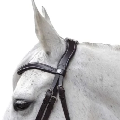 CANTER Bridon Baloubet> Bridon