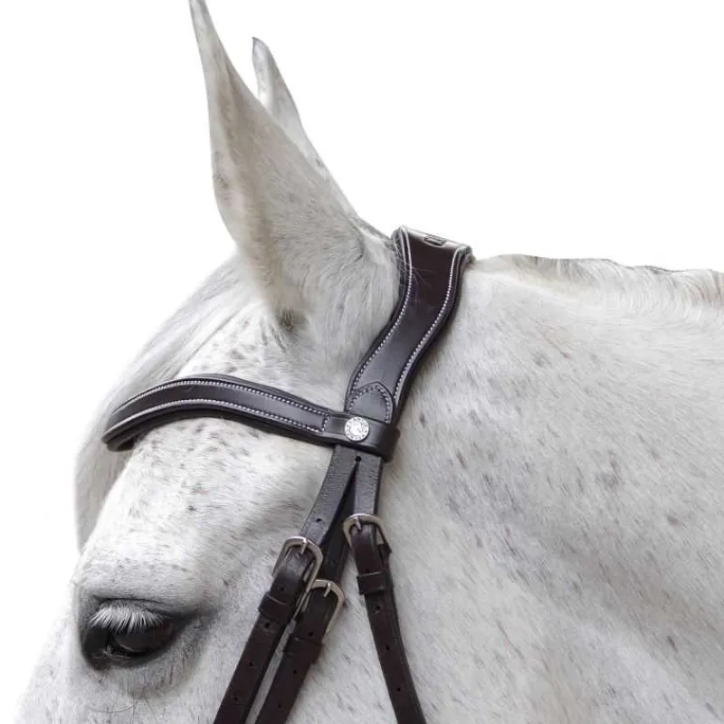 CANTER Bridon Baloubet> Bridon