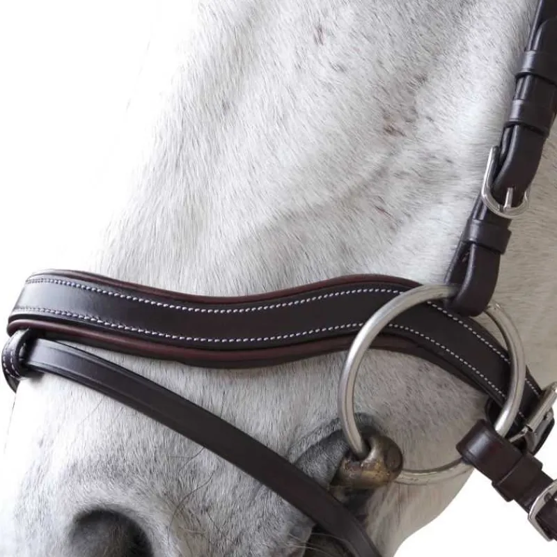 CANTER Bridon Baloubet> Bridon