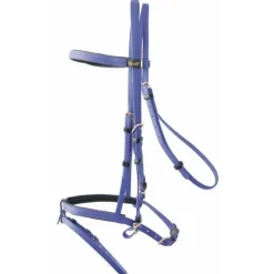BIOTACK® Bridon Biotack T de T><noscript><img data-lazyloaded=