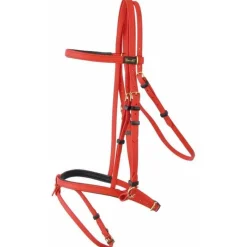 BIOTACK® Bridon Biotack T de T><noscript><img data-lazyloaded=