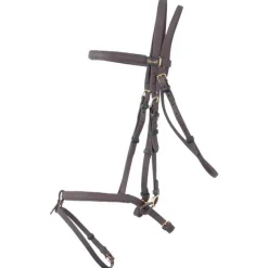 BIOTACK® Bridon Biotack T de T><noscript><img data-lazyloaded=