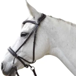 CANTER Bridon Bitless Evolution><noscript><img data-lazyloaded=