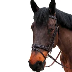 CANTER Bridon Bombé Nino> Bridon