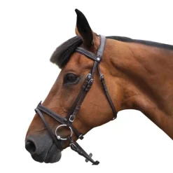 CANTER Bridon Black strass> Bridon