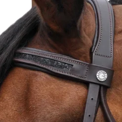 CANTER Bridon Black strass> Bridon