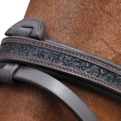 CANTER Bridon Black strass><noscript><img data-lazyloaded=
