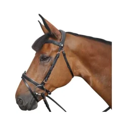 CANTER Bridon rose gold> Bridon