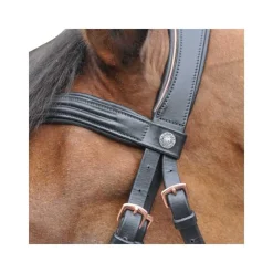CANTER Bridon rose gold> Bridon