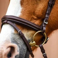 STATIONATA Bridon combiné frontal Strass><noscript><img data-lazyloaded=