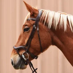 STATIONATA Bridon Cuir Soft et Anatomique> Bridon