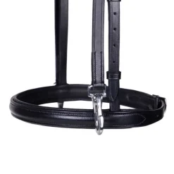 QHP Bridon de présentation Vesta><noscript><img data-lazyloaded=