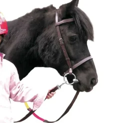 CANTER Bridon éducatif Club Shetland> Bridon