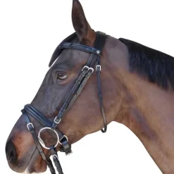 CANTER Bridon Euro Pull-back> Bridon