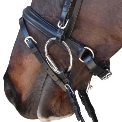CANTER Bridon Euro Pull-back> Bridon