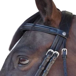 CANTER Bridon Euro Pull-back><noscript><img data-lazyloaded=