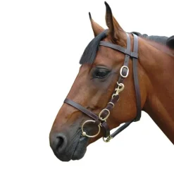 CANTER Bridon licol large> Licol En Cuir|Bridon