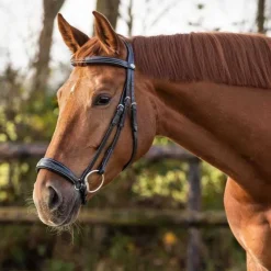 QHP Bridon luxe muserolle allemande> Bridon