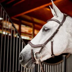 HORSEWARE Bridon Micklem 2 compétition><noscript><img data-lazyloaded=