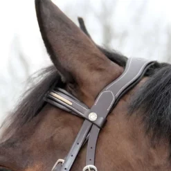 CANTER Bridon Mylord><noscript><img data-lazyloaded=
