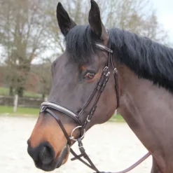 CANTER Bridon Mylord><noscript><img data-lazyloaded=