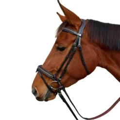 CANTER Bridon Mylord><noscript><img data-lazyloaded=