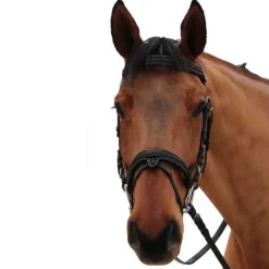 CANTER Bridon Mylord><noscript><img data-lazyloaded=
