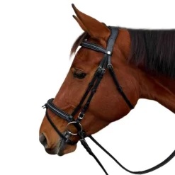 CANTER Bridon Mylord><noscript><img data-lazyloaded=
