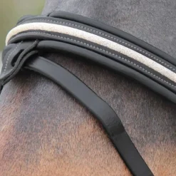 CANTER Bridon Mylord><noscript><img data-lazyloaded=