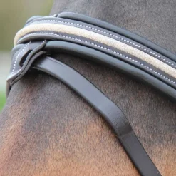 CANTER Bridon Mylord><noscript><img data-lazyloaded=