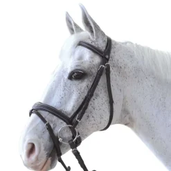CANTER Bridon Ornella> Bridon