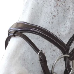 CANTER Bridon Ornella> Bridon