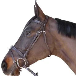 CANTER Bridon plat doublé> Bridon