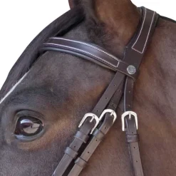CANTER Bridon plat doublé><noscript><img data-lazyloaded=
